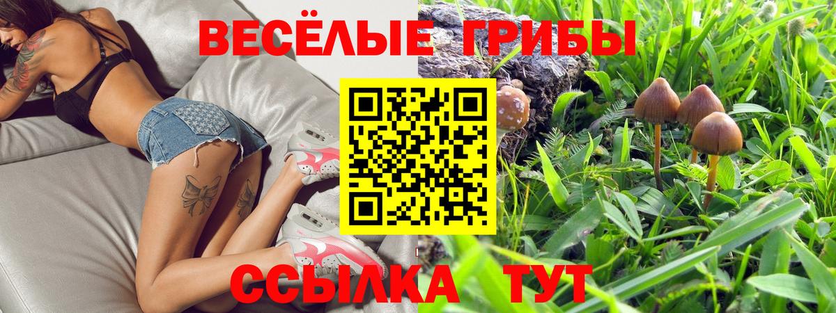 Гусиноозёрск  Галлюциногенные грибы MAGIC MUSHROOMS  Галлюциногенные грибы Psilocybe  что такое наркотик  Вход с VPN 
