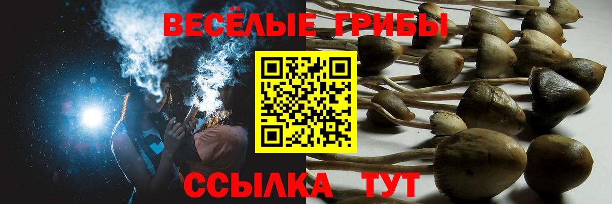 Галлюциногенные грибы Magic Shrooms Гусиноозёрск